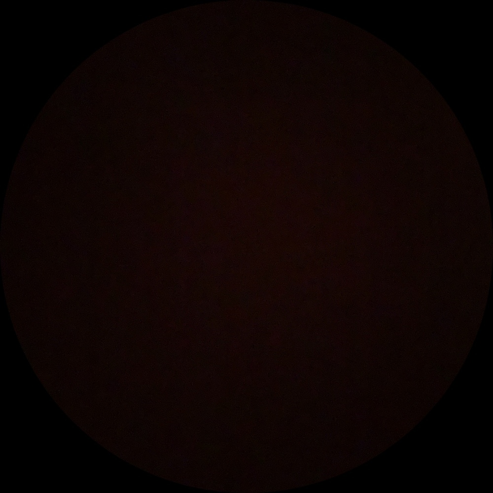 Meet your Posher, Tiana